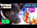 Roman to the Rescue Sneak Peek | Roman to the Rescue | @Disney XD @Dodo Kids