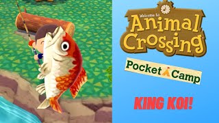 Catching ULTRA RARE KING KOI in Animal Crossing Pocket Camp! 🎣 screenshot 5