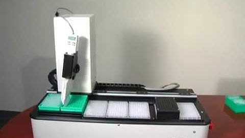 PhyNexus MEA2 Protein and Plasmid Purification