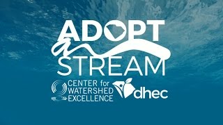 What is South Carolina Adopt-a-Stream?