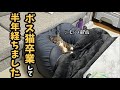 ❺【野良猫から家猫へ】緊急保護してから半年経ちました。〜6ヶ月目の記録〜