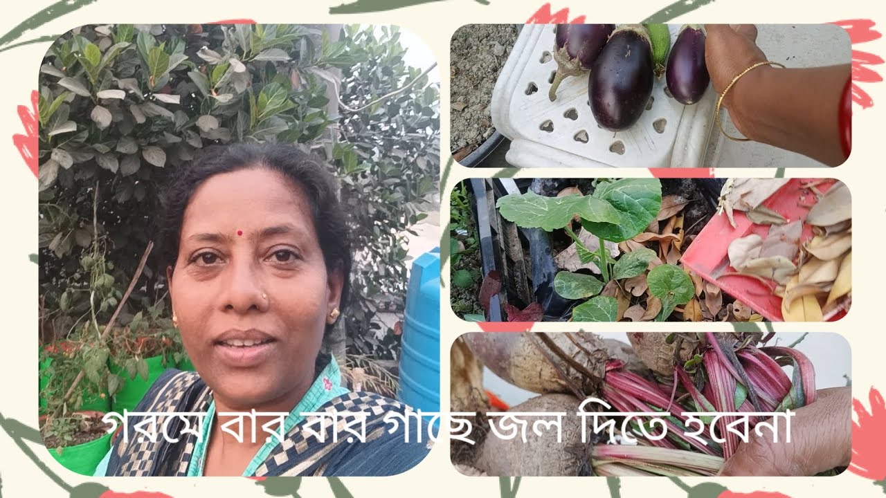 গরমে বার বার গেছে জল দিতে হবেনা। 