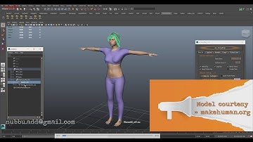 as_HyperPoint : Auto Joints Placement - Biped Rigs (Part - 2 of 2)