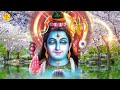 शिव कथा || Shiv Katha || Rakesh Kala || New Shiv Katha 2022 Mp3 Song