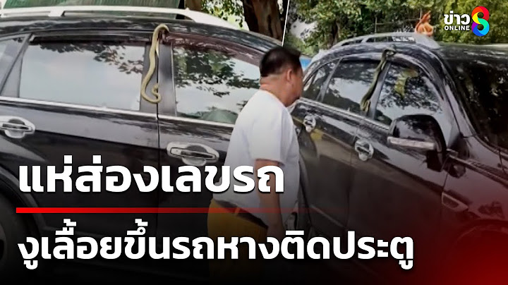ส่องเลขรถ งูเลื้อยขึ้นรถหางติดประตู! | 13 ก.ค. 68 | ข่าวใหญ่ช่อง8