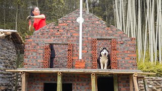 Building Bricks House For Dogs and Cats - Beautify House For Cat and Dog - New Life | Đào Daily Farm