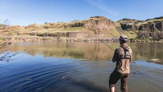 Perch in the BRUSHPILES! — River Panfishing in the Slough (Catch Clean Cook) 