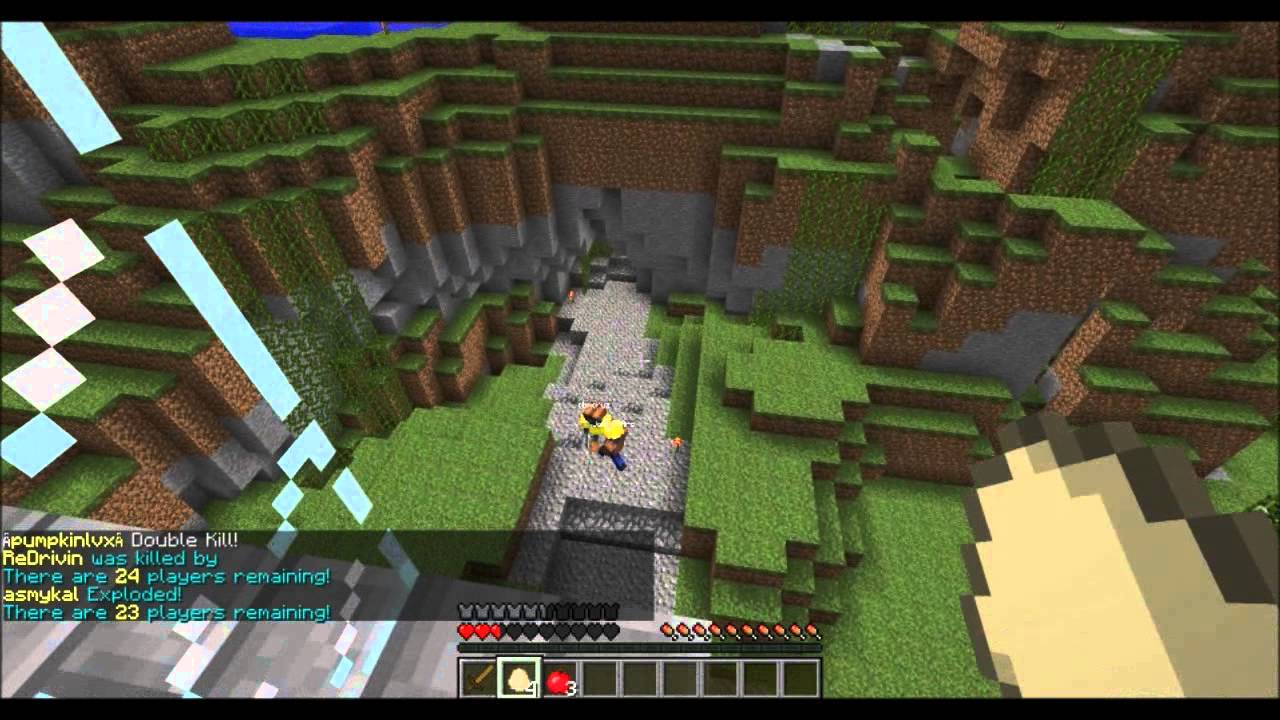 The Future of ChildDolphin - A Channel Update + Survival Games