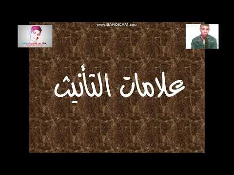 درس علامات التأنيث