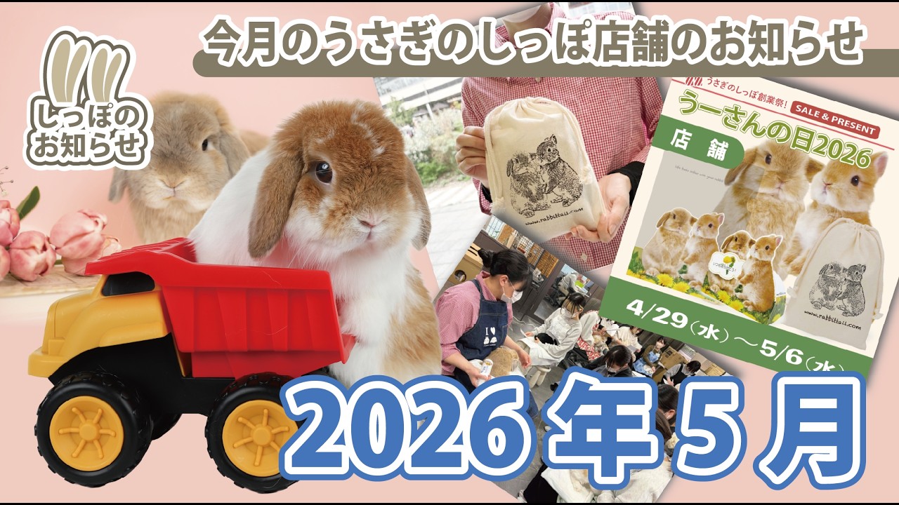 うさぎのしっぽ　うさぎのフード うさぎのしっぽ5月のおすすめ動画 - YouTube