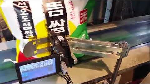 Sojet Elfin 1 - Sack Coding 1