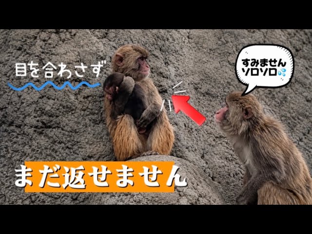 6月17日】赤ちゃんが好きすぎて、お母さんになかなか返さないお友達