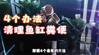 4个办法清理鱼缸鱼便第4个水我经常用的办法对鱼最好