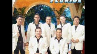 tropical florida quien diria
