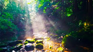 4k Carpathian Mountain Turquoise River Sounds for Sleep.Calming Turquoise Forest River Relax Sounds