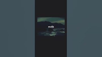 الشيخ محمد صديق المنشاوي #القرآن_الكريم #آيات القرآن الكريم #اكسبلور