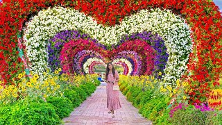 Ultimate Guide to Dubai Miracle Garden: Plan Your Perfect Trip!