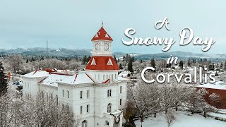A Snowy Day in Corvallis