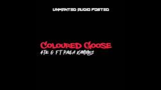 Coloured Goose - Atie G Ft Paula Kammies