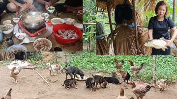 Bữa cơm đạm bạc ngày mưa gió..../ Hái lượm miền Bắc 