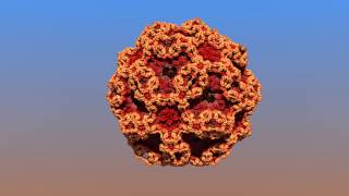 3D Fractal - The DodecahedronIFS fractal