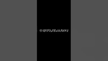 #القران_الكريم #سورة_الانعام #المنشاوي #كرومات الآيات(63 _ 64)