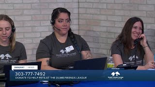 Denver7 hosts call center to help Dumb Friends League