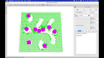 Xenobot spheres manage one round of self-replication in simulation (v1).