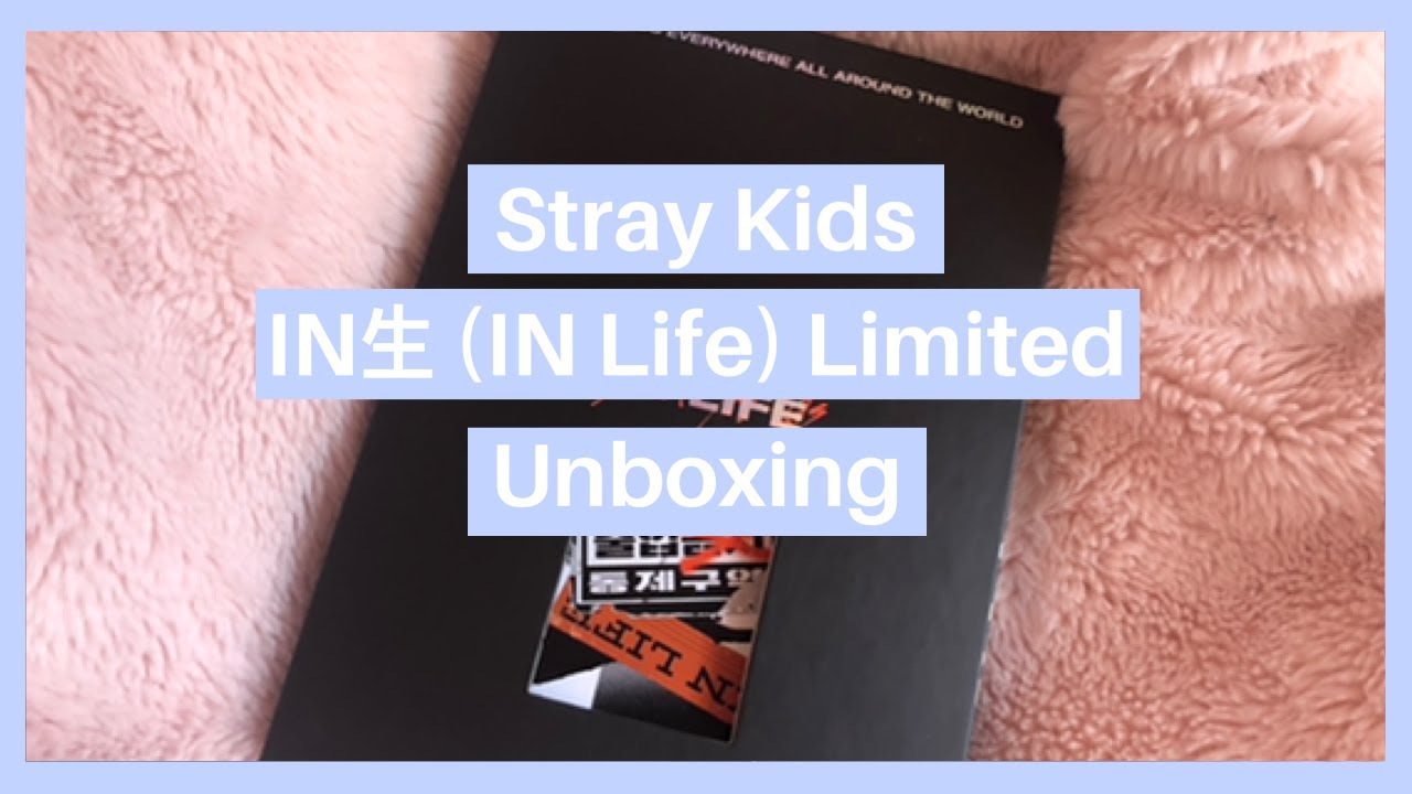 Stray Kids (스트레이 키즈) IN生 (IN Life) Limited Album Unboxing - YouTube