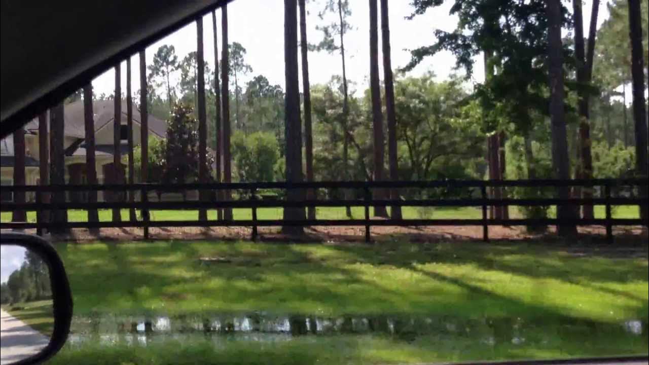 Whitelock Farms a St Johns, FL Equestrian Community YouTube