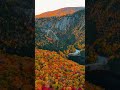 Flying through the peak of autumn #nature #drone #explore