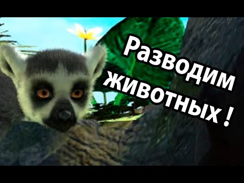 Видео: Задача сообщества Zoo Tycoon - помочь исчезающим животным