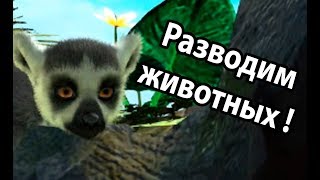 Разводим животных ! ( Zoo Tycoon ) Разводим животных ! ( Zoo Tycoon )