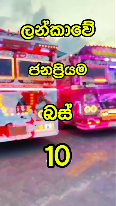 කැමතිම බස් එක COMMENT එකක් දාගෙන යන්. 💛💥👑#srilanka#modified#vehicles#bus