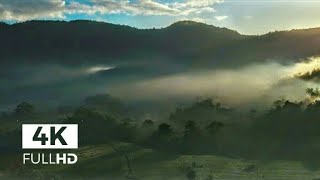 Free Stock Footage Drone Shots Fog in the Mountain in 4K - No Copyrighted Videos