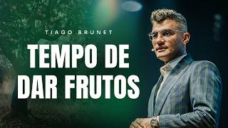 TEMPO DE DAR FRUTOS  TIAGO BRUNET