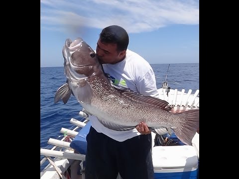 Pescaria Alto Mar - NAMORADO 26 KG - Rato&cia - FFpesca - Equipe Beluga - Clesinho