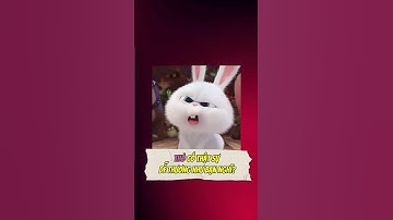 Nhìn thì nhỏ bé chứ tụi mày biết thỏ nó quậy cỡ nào không? #tho #dongvat #haihuoc #xuhuong