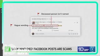 Famous ‘I can’t believe he’s gone’ and ‘look who died’ Facebook posts are scams Profile