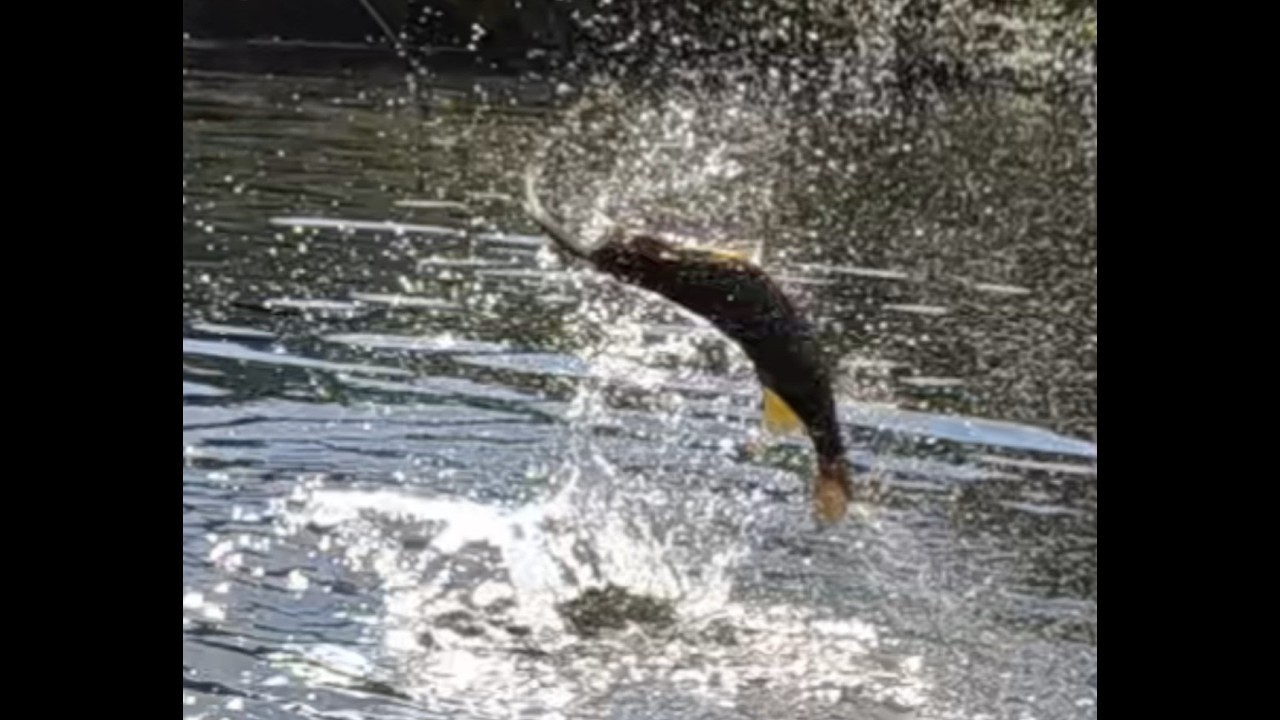 EPIC Bass Fishing Trip