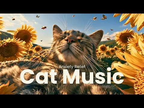 Cat Therapy Music 🌿 Soothing Lullabies for a Calm Indoor Cat 🐱