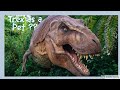 let&#39;s learn about Tremendous Pet TREX