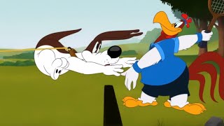 Foghorn Leghorn- Tennis Dawg (Looney Tunes Cartoons)