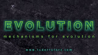 Evolution: Mechanisms for Evolution