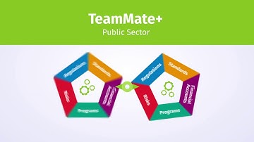 TeamMate+ Public Sector