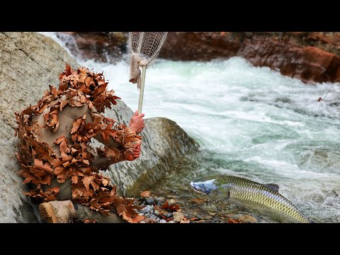 Fishing with Honey / Bal ile Balık Avı / Muhteşem Balık Avı