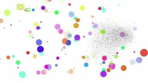 Kizoa Movie - Video - Slideshow Maker: uval mor logo intro