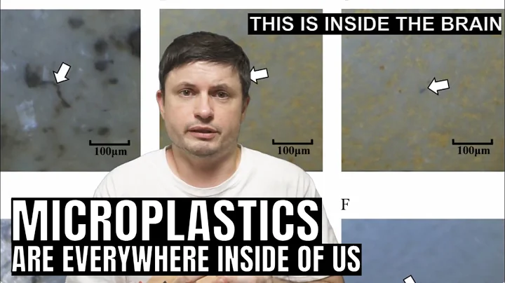 Alarming Effects From Microplastics on Human Health (Several Major Studies)
