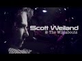 SCOTT WEILAND & The Wildabouts   Live   Nanaimo, B C  by Gene Greenwood