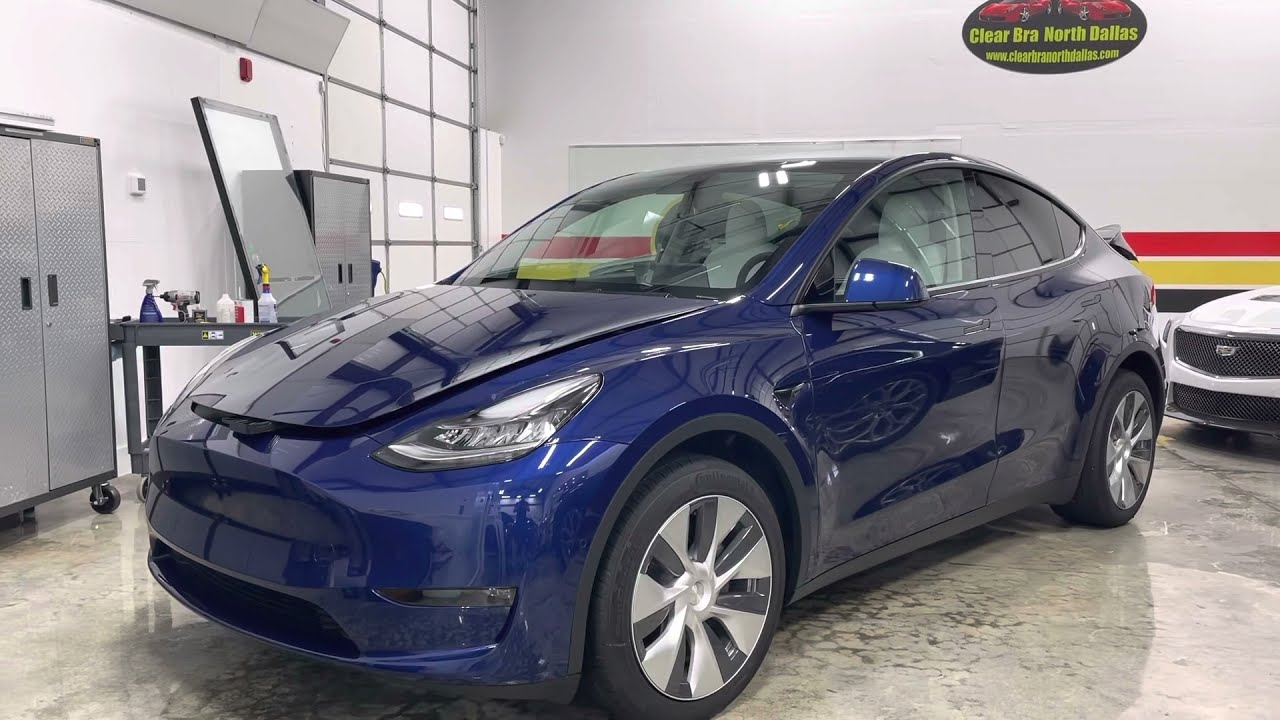 STEK DYNO Shield Windshield Protection